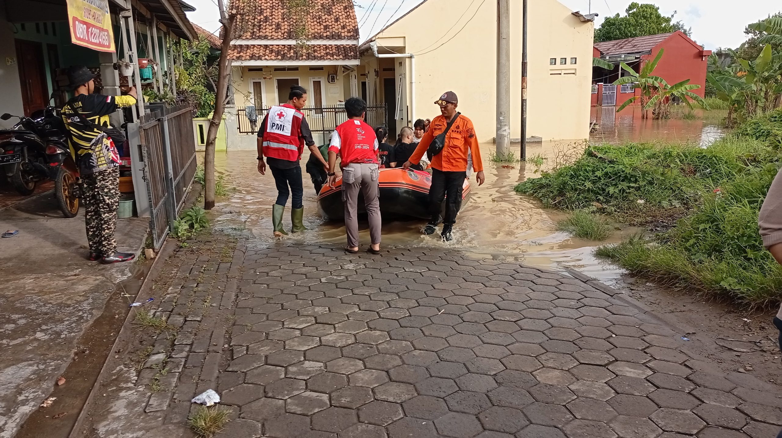 WhatsApp Image 2025-01-07 at 16.54.01